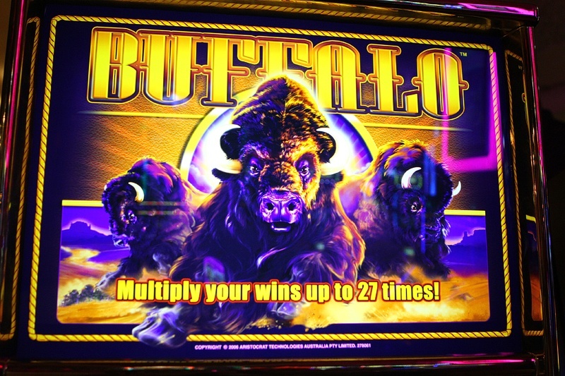 Buffalo gold head slot machine